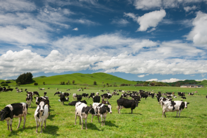 João Eustáquio De Almeida Junior mostra como sustentabilidade e bem-estar animal se tornaram diferenciais competitivos estratégicos no agronegócio moderno.