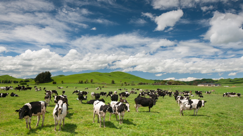 João Eustáquio De Almeida Junior mostra como sustentabilidade e bem-estar animal se tornaram diferenciais competitivos estratégicos no agronegócio moderno.