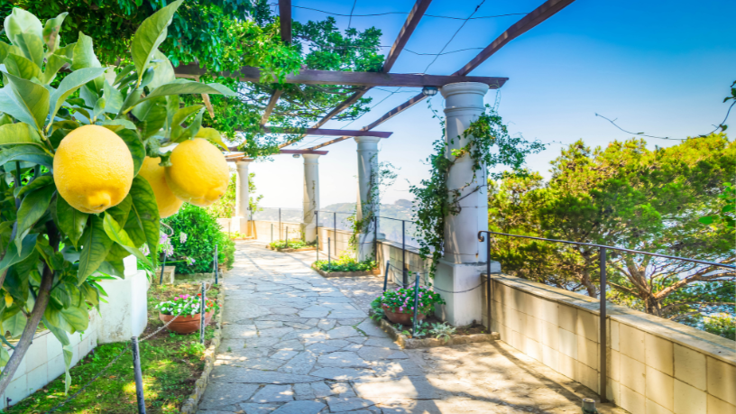 Neste artigo, Alberto Toshio Murakami explora o turismo na Itália e mostra como a combinação entre cultura, gastronomia e tradições torna o destino uma experiência inesquecível.